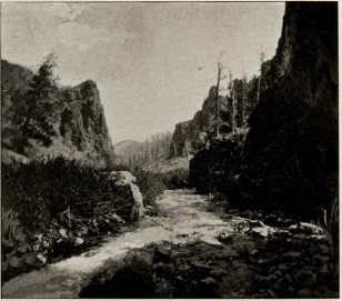 carousel chooser