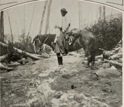carousel chooser