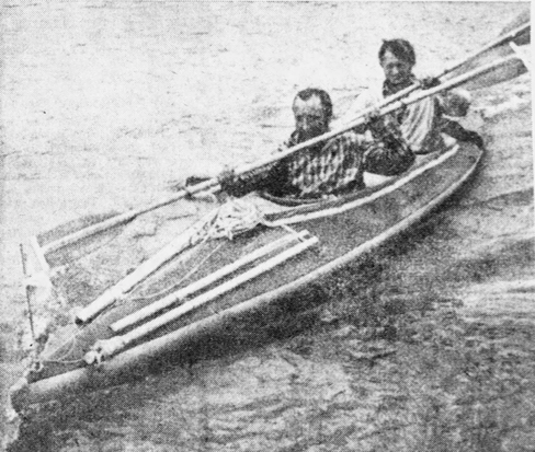 Image description